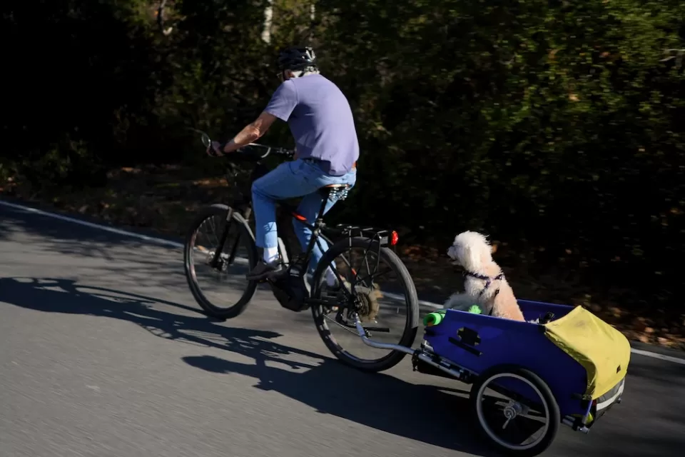 Man riding e-bike pulling trailer with small dog in it on paved path.
